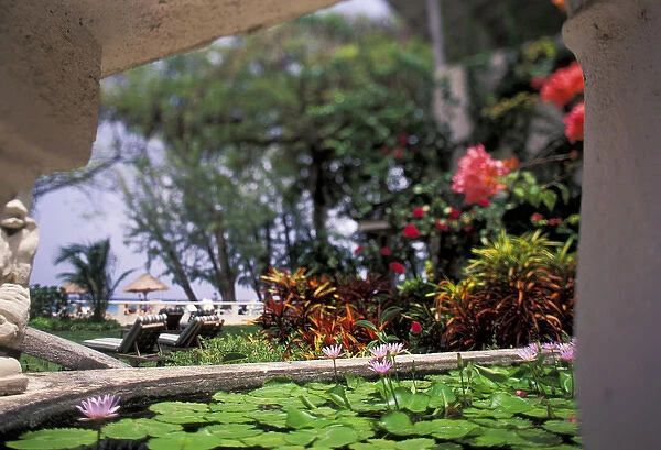 Caribbean, Barbados. Tropical blossoms and pond at the entrance to the Coral Reef Club