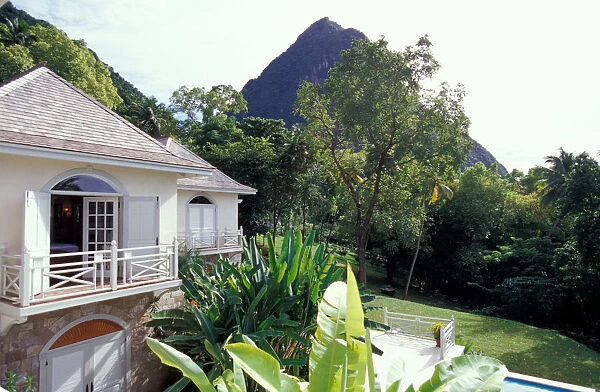 Caribbean, BWI, St. Lucia, the Beau Estate
