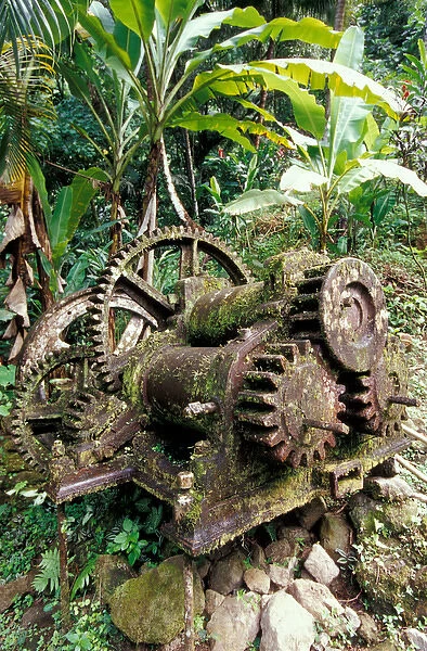 Caribbean, BWI, St. Lucia, Mill ruins at Pyke waterfall