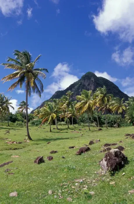 Framed Print : Caribbean, BWI, St. Lucia, Scenic views along the Pitons Natural Trail Framed Print : Caribbean, BWI, St. Lucia, Scenic views along the Pitons Natural Trail