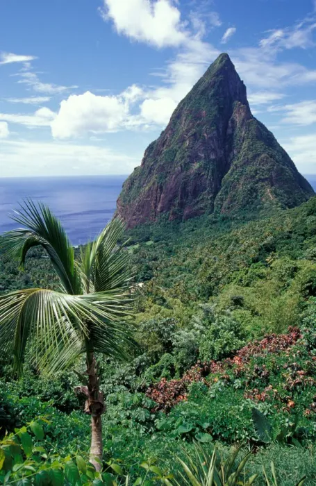 Framed Print : Caribbean, BWI, St. Lucia, View of the Pitons from Ladera Resort Framed Print : Caribbean, BWI, St. Lucia, View of the Pitons from Ladera Resort