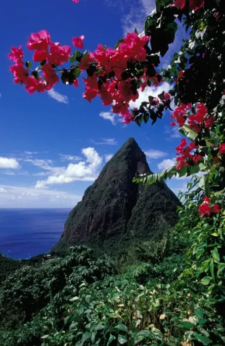 Framed Print : Caribbean, BWI, St. Lucia, View of the Pitons from Ladera Resort Framed Print : Caribbean, BWI, St. Lucia, View of the Pitons from Ladera Resort