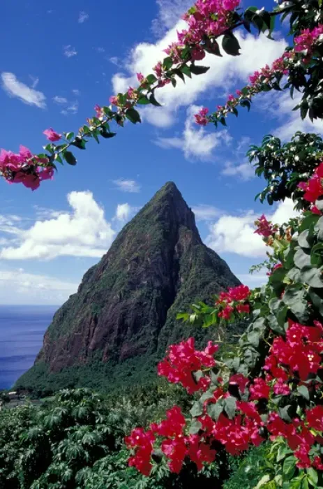 Framed Print : Caribbean, BWI, St. Lucia, View of the Pitons from Ladera Resort Framed Print : Caribbean, BWI, St. Lucia, View of the Pitons from Ladera Resort