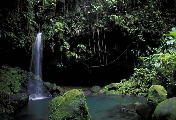 Caribbean, Dominica, Morne Trois Pitons National Park. Cascade and beautiful emerald pool