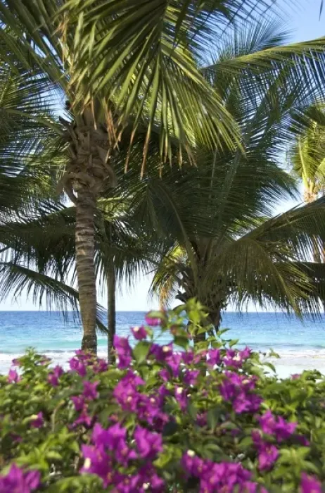 Framed Print : Caribbean, Dominican Republic