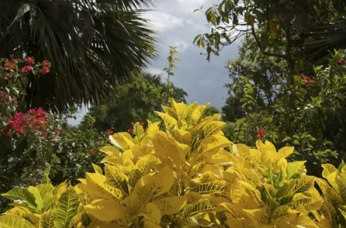 Framed Print : Caribbean, Dominican Republic