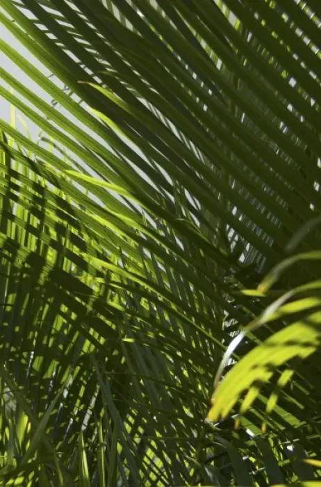 Framed Print : Caribbean, Dominican Republic
