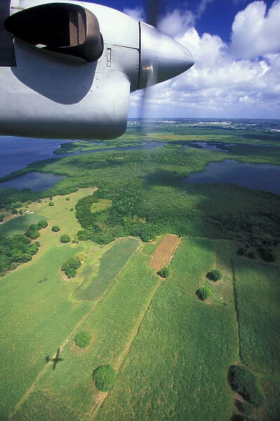 Caribbean, French West Indies, Guadeloupe, Grande Terre. Airplane view of sugar cane