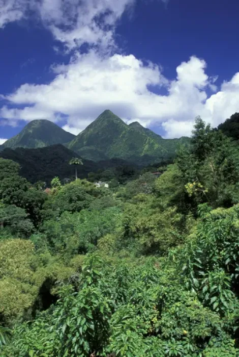 Framed Print : Caribbean, French West Indies, Martinique. Route de la Trace. View of the Pitonsdu Framed Print : Caribbean, French West Indies, Martinique. Route de la Trace. View of the Pitonsdu