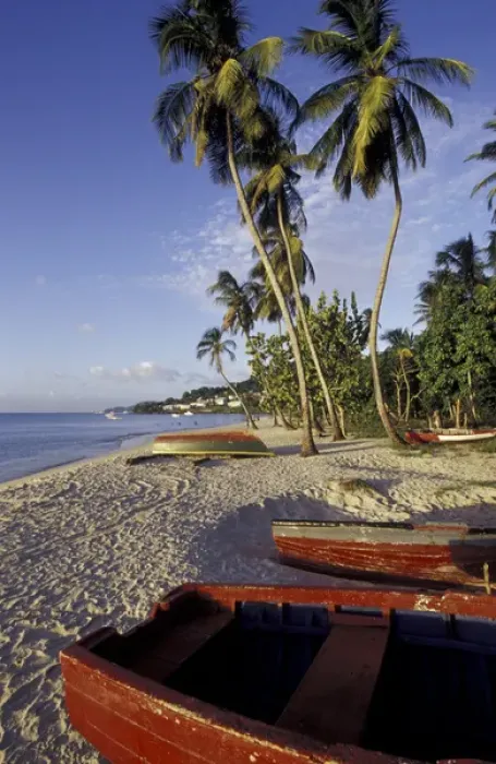 Framed Print : CARIBBEAN, Grenada Colorful boats on beach at dusk