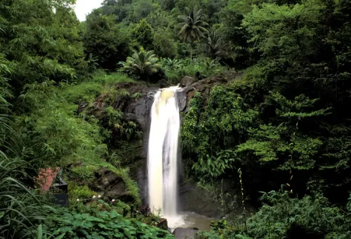 Framed Print : Caribbean, Grenada. Concord Falls in tropical rainforest