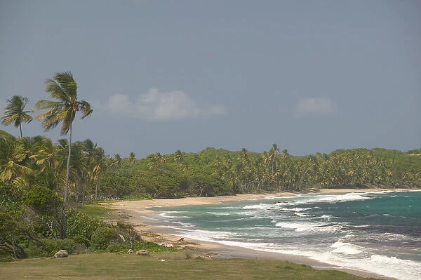 Caribbean, GRENADA, East Coast, Grenada Bay View of Bathways Beach