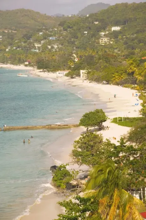 Framed Print : Caribbean, GRENADA, Grande Anse: View of Grande Anse Beach Late Afternoon