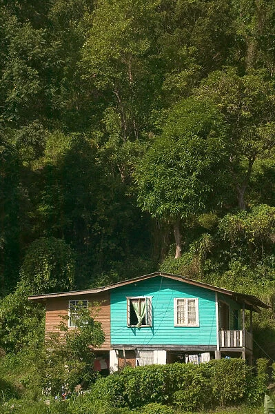 Caribbean, GRENADA, Interior, Boca Green House, morning