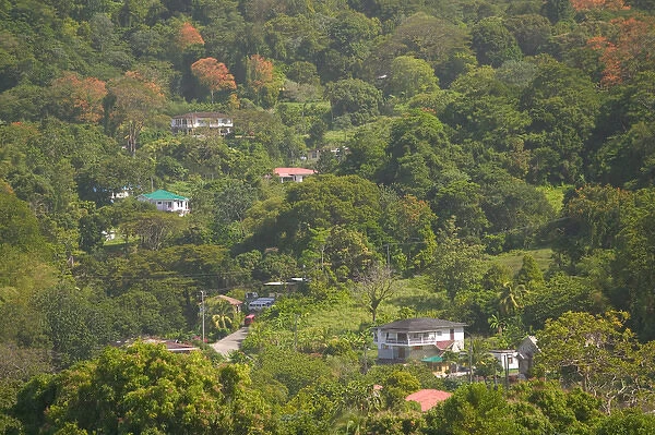 Caribbean, GRENADA, Interior, Willis Village View