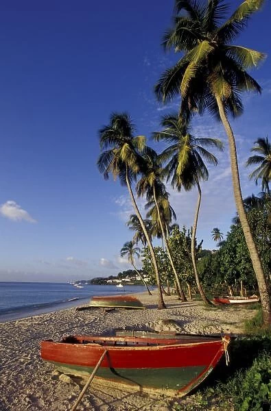 CARIBBEAN, Grenada, St. George, Boats on palm tree-lined beach