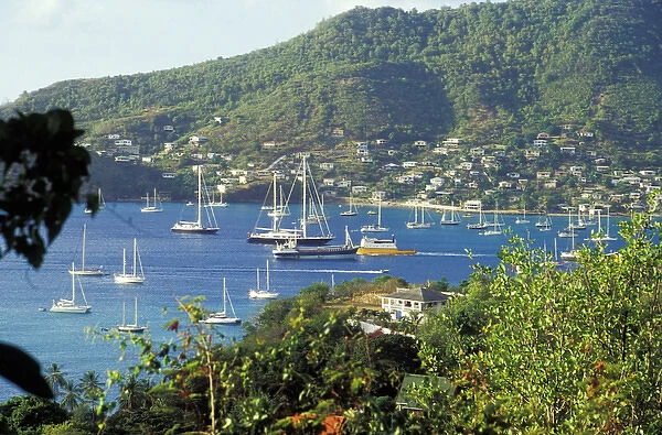 Caribbean, Grenadines, St. Vincent, Bequia. Harbor