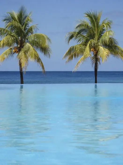 Framed Print : Caribbean, Honduras, Roatan. Infinity pool surrounded by palm trees Framed Print : Caribbean, Honduras, Roatan. Infinity pool surrounded by palm trees