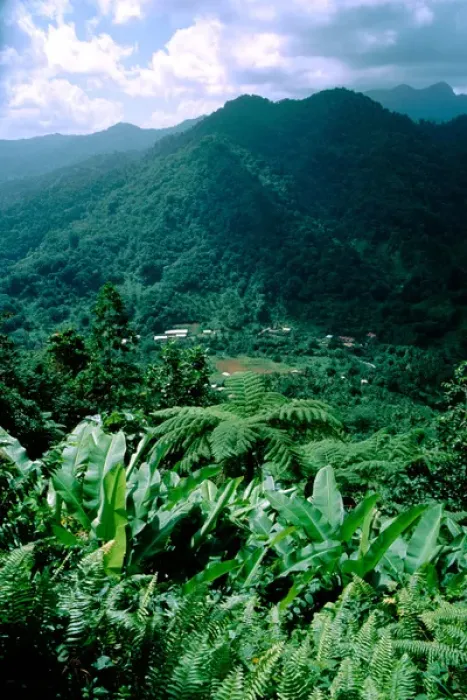 Framed Print : Caribbean, Island of Dominica (aka Nature Island). Lush tropical island landscape Framed Print : Caribbean, Island of Dominica (aka Nature Island). Lush tropical island landscape