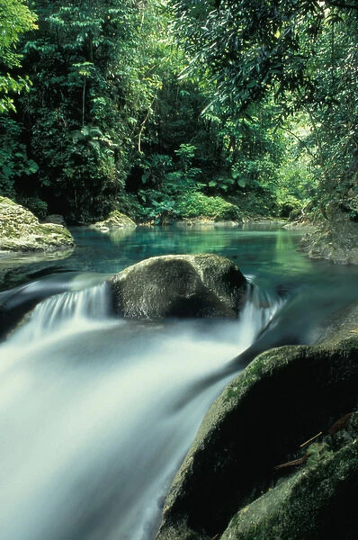 CARIBBEAN, Jamaica, near Port Antonio Reach Falls