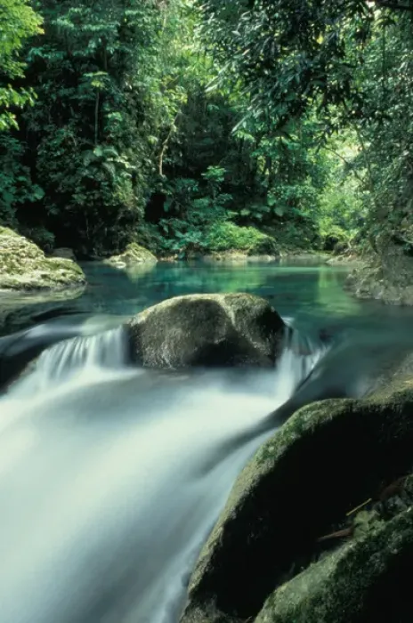 Framed Print : CARIBBEAN, Jamaica, near Port Antonio Reach Falls Framed Print : CARIBBEAN, Jamaica, near Port Antonio Reach Falls