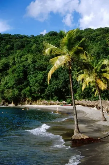 Framed Print : Caribbean, Lesser Antilles, West Indies, Saint Lucia. Soufriere, resort beach at Anse Chastanet Framed Print : Caribbean, Lesser Antilles, West Indies, Saint Lucia. Soufriere, resort beach at Anse Chastanet