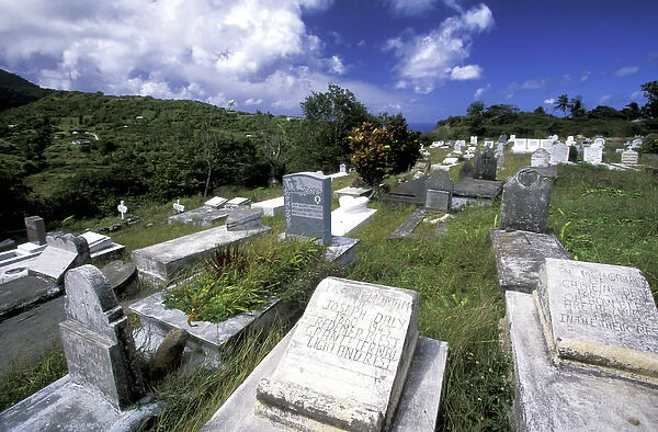 Caribbean, Montserrat, St. John s. Town cemetery
