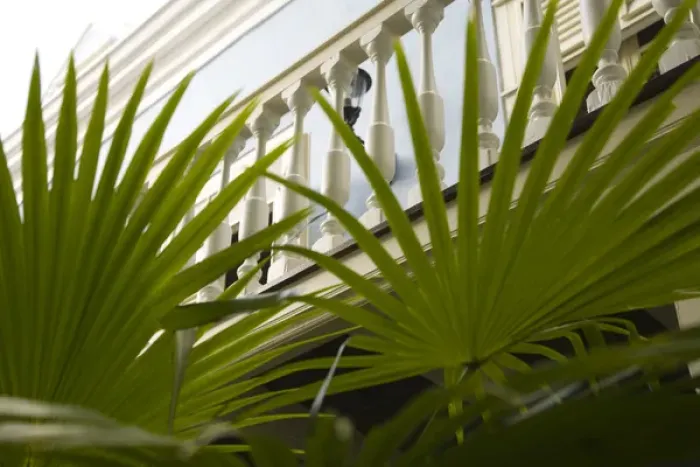 Framed Print : Caribbean, Netherland Antilles, Curacao, Willemstad. Palm fronds and balcony Framed Print : Caribbean, Netherland Antilles, Curacao, Willemstad. Palm fronds and balcony