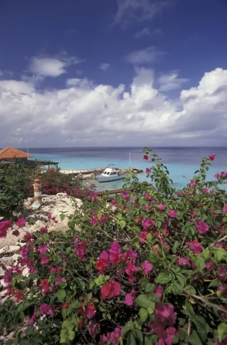 Framed Print : Caribbean, Netherland Antilles, Curacao The Habitat Resort