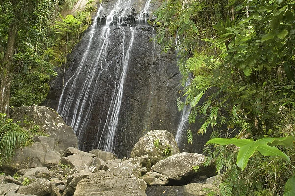 Caribbean, Puerto Rico, El Yunque rain forest, Caribbean National Forest. La Coca Falls
