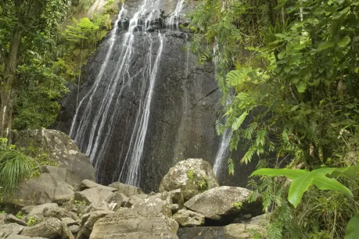 Framed Print : Caribbean, Puerto Rico, El Yunque rain forest, Caribbean National Forest. La Coca Falls Framed Print : Caribbean, Puerto Rico, El Yunque rain forest, Caribbean National Forest. La Coca Falls