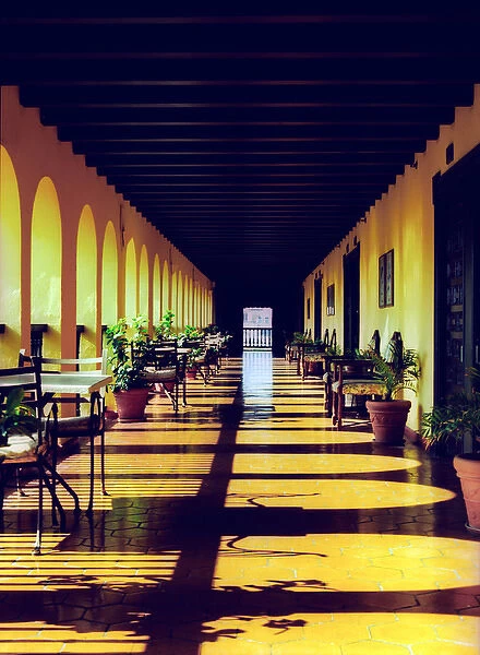 Caribbean, Puerto Rico, Old San Juan, El Convento Hotel, Patio del Nispero, Courtyard