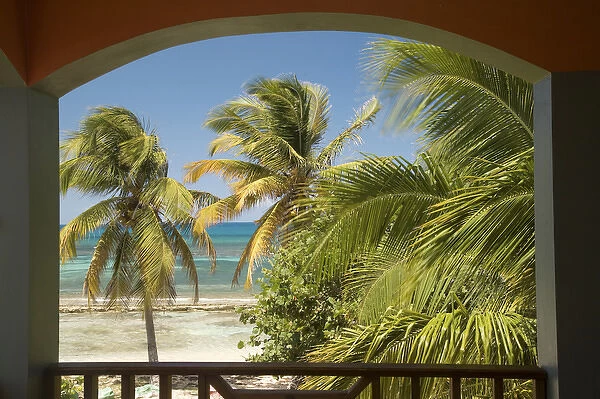 Caribbean, Puerto Rico, Vieques. Caribbean, beach and palm trees, viewed from porch of house  /  hotel