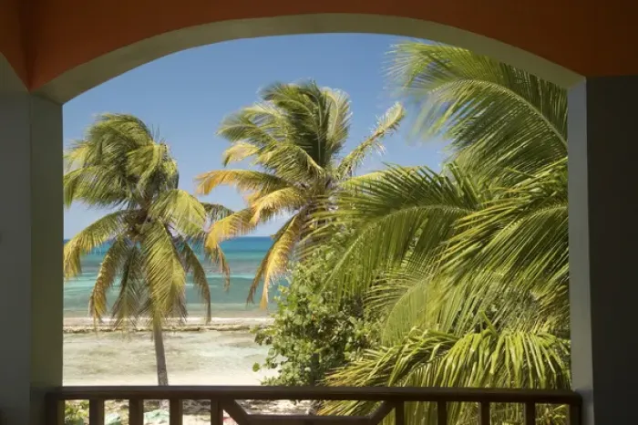 Framed Print : Caribbean, Puerto Rico, Vieques. Caribbean, beach and palm trees, viewed from porch of house  /  hotel