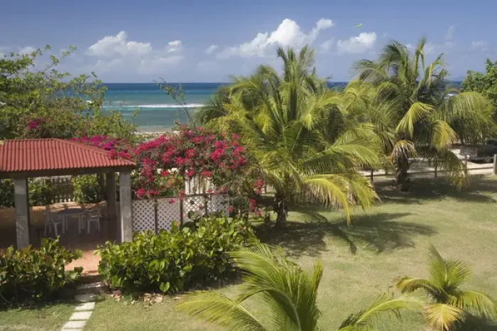 Framed Print : Caribbean, Puerto Rico, Vieques. Caribbean, garden and palm trees, viewed from porch Framed Print : Caribbean, Puerto Rico, Vieques. Caribbean, garden and palm trees, viewed from porch