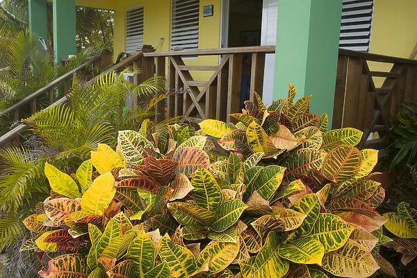 Caribbean, Puerto Rico, Vieques. Hotel. PR