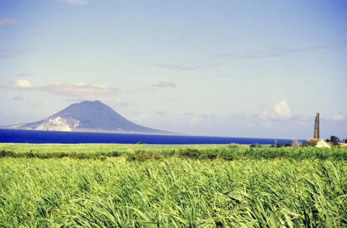 Framed Print : Caribbean, St. Kitts. Crops