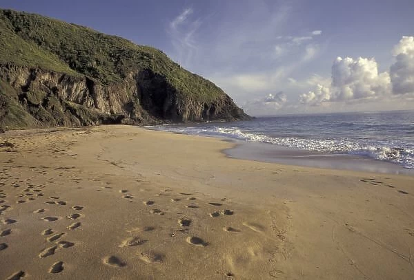 Caribbean, St. Kitts. Footprints on Atlantic Beach