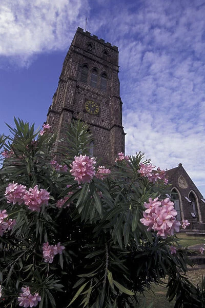 CARIBBEAN, St. Kitts Tropical flowers, old brick church tower