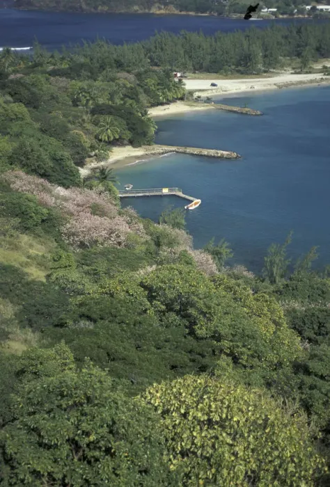 Framed Print : Caribbean, St. Lucia View of Pigeon Island Framed Print : Caribbean, St. Lucia View of Pigeon Island