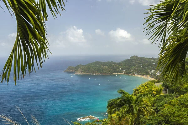 Caribbean, Tobago. Castara Bay ocean beach and jungle landscape