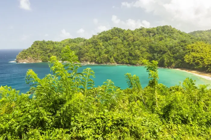 Framed Print : Caribbean, Tobago. Ocean cove and jungle landscape. Credit as