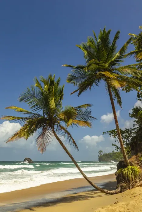Framed Print : Caribbean, Trinidad, Blanchisseuse Bay. Beach and ocean landscape Framed Print : Caribbean, Trinidad, Blanchisseuse Bay. Beach and ocean landscape