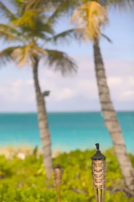 Framed Print : Caribbean, TURKS & CAICOS-Providenciales Island-Grace Bay: Beach Torch & Palms  / 