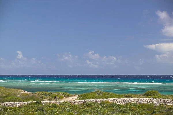 Caribbean, TURKS & CAICOS-South Caicos Island-Cockburn Harbour: Ocean View  /  Girl s