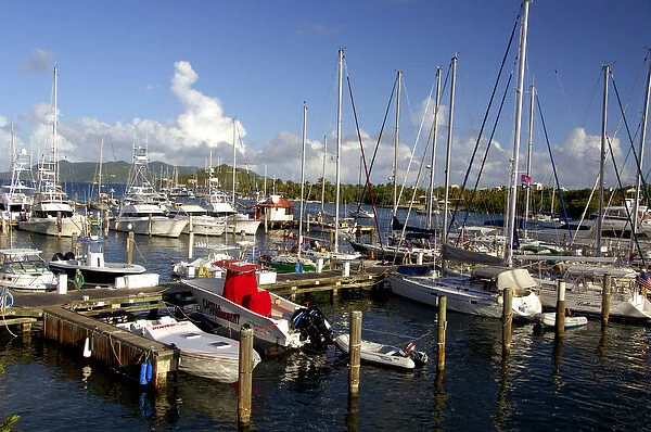 Caribbean, U. S. Virgin Islands, St. Thomas, Red Hook. Popular pier area near the ferry dock