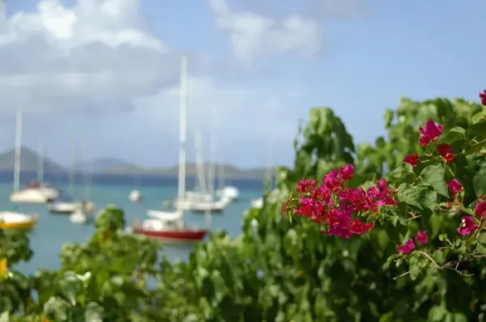 Framed Print : Caribbean, U. S. Virgin Islands, St. John, Cruz Bay. Boats in the harbor at Cruz Bay