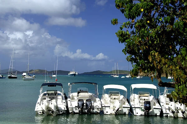 Caribbean, U. S. Virgin Islands, St. John, Cruz Bay. Boats in the harbor at Cruz Bay