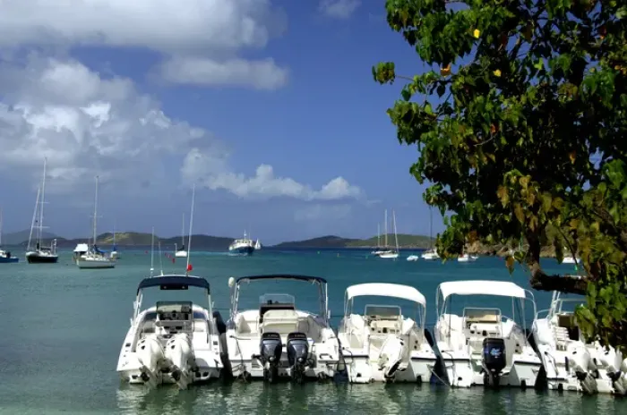 Framed Print : Caribbean, U. S. Virgin Islands, St. John, Cruz Bay. Boats in the harbor at Cruz Bay Framed Print : Caribbean, U. S. Virgin Islands, St. John, Cruz Bay. Boats in the harbor at Cruz Bay