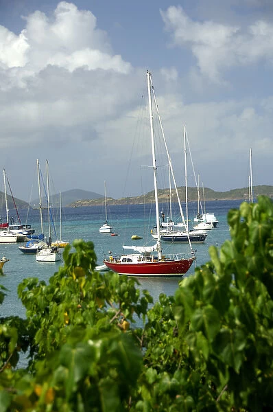 Caribbean, U. S. Virgin Islands, St. John, Cruz Bay. Boats in the harbor at Cruz Bay